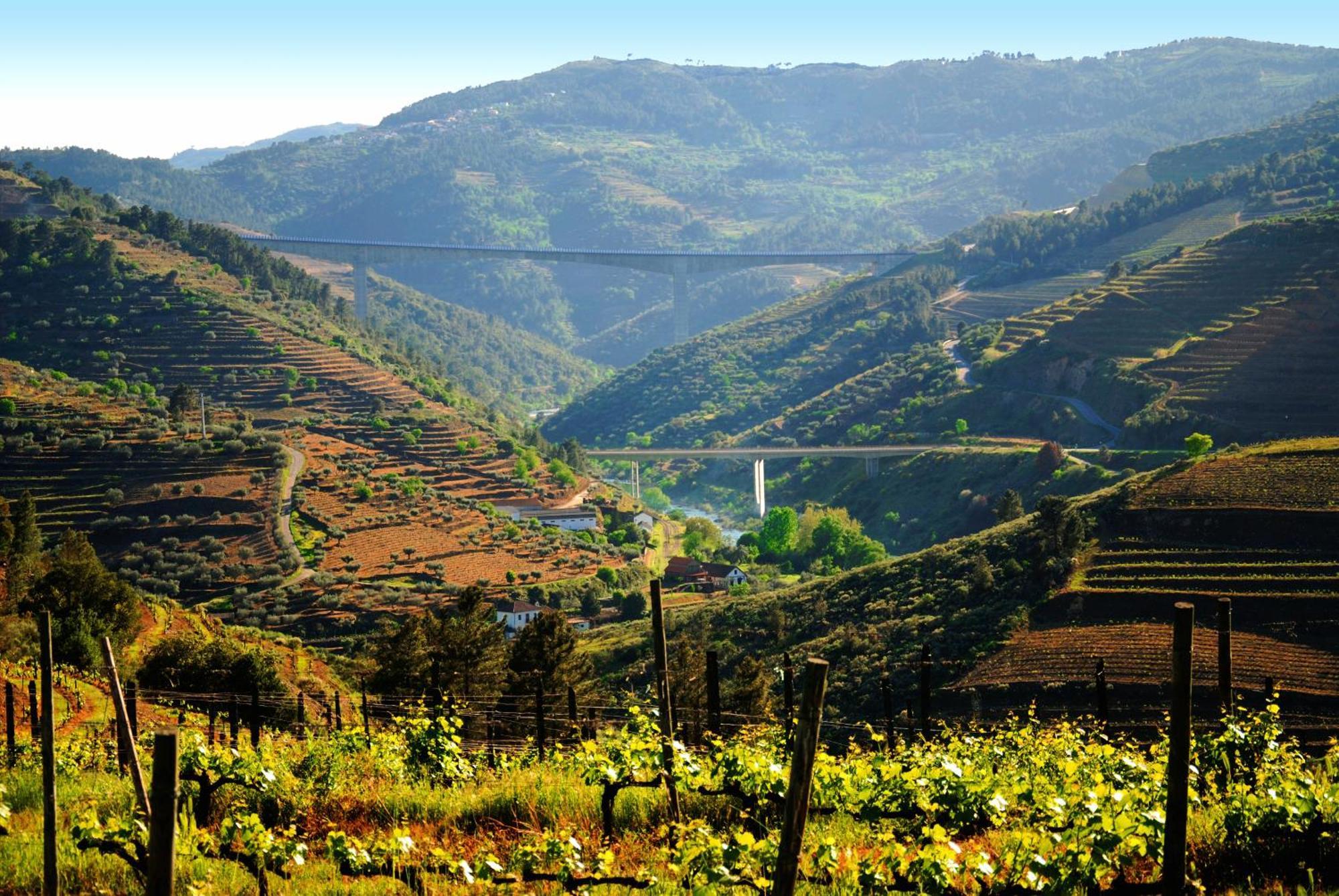 Casa Oliveiras Do Douro Villa Sobreira Eksteriør billede