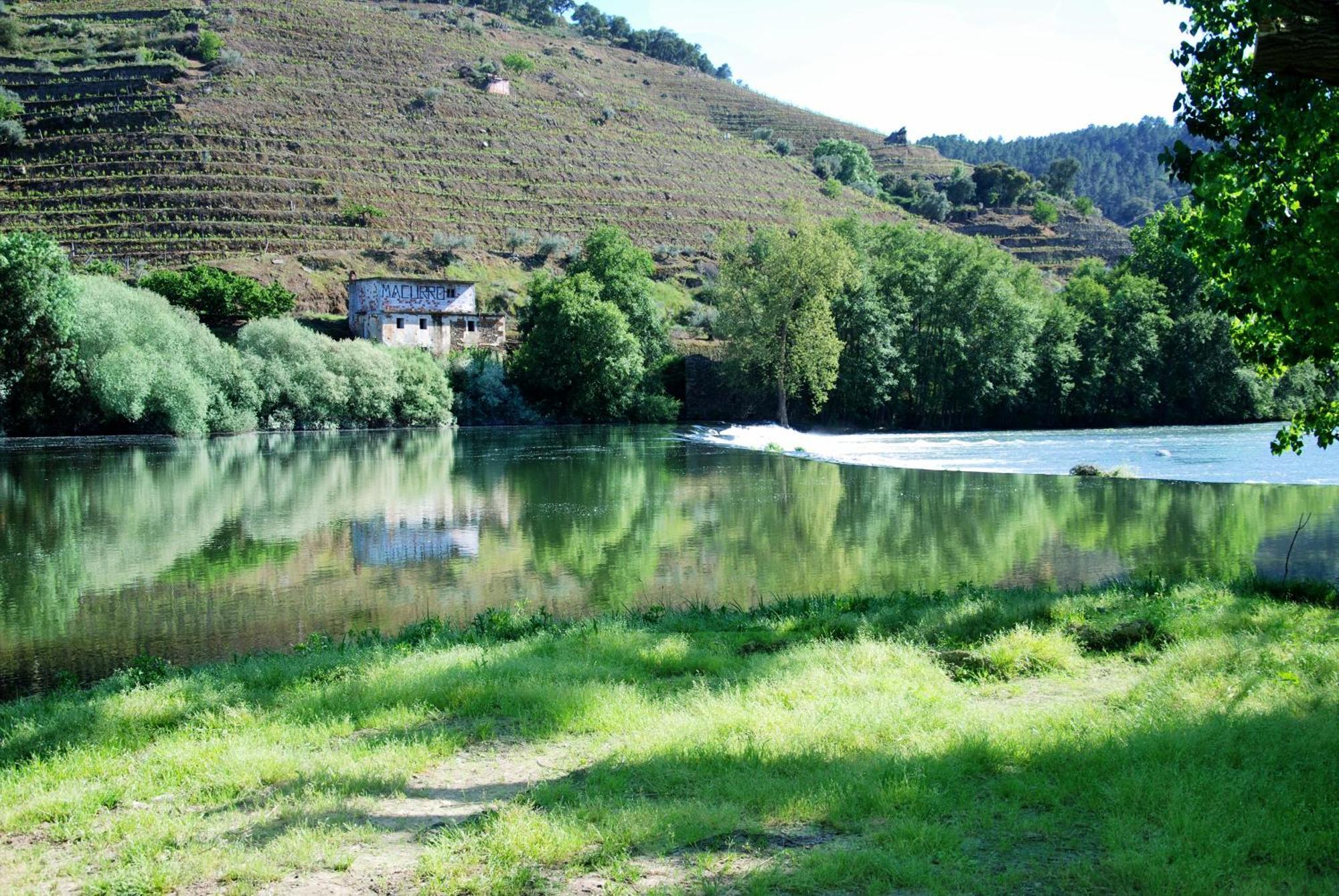 Casa Oliveiras Do Douro Villa Sobreira Eksteriør billede