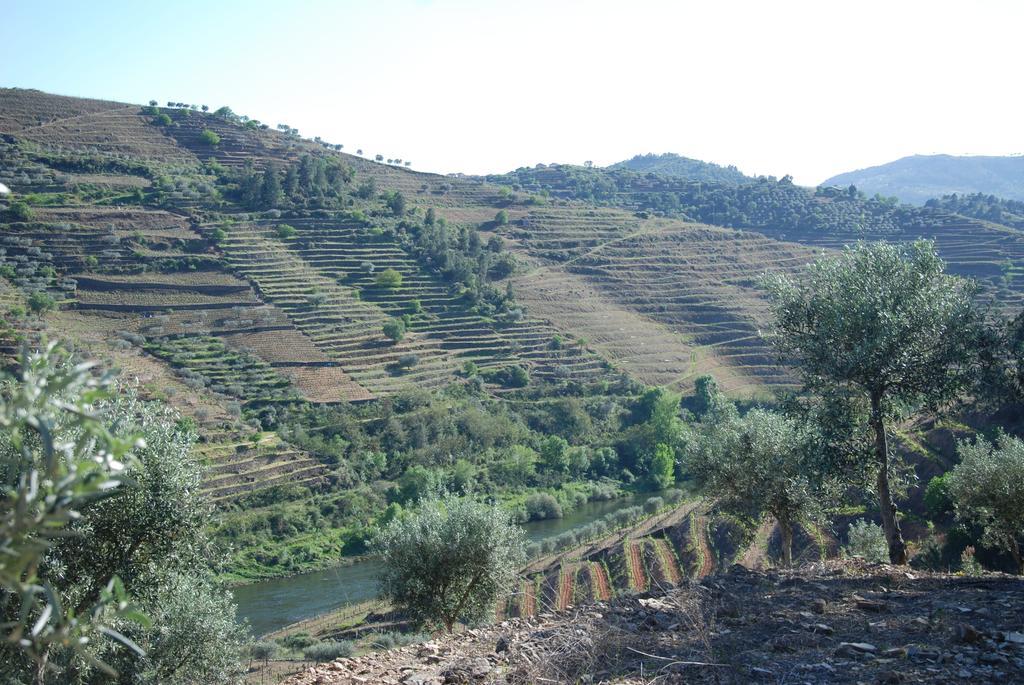 Casa Oliveiras Do Douro Villa Sobreira Eksteriør billede