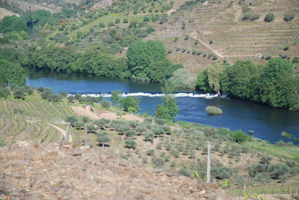 Casa Oliveiras Do Douro Villa Sobreira Eksteriør billede